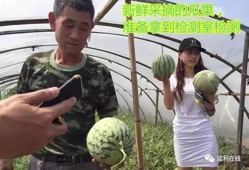 吃瓜群众最新试验,揭秘网红食品背后的真相
