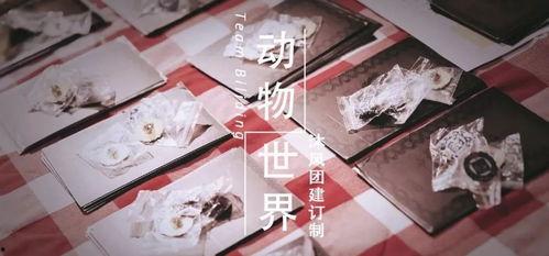 公司年会网红打卡文案,精彩瞬间尽收眼底
