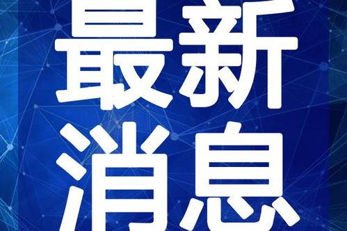 闲鱼翔哥爆料视频大全最新,揭秘视频大全背后的惊人真相