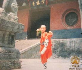 嵩山少林寺出来的明星,嵩山武术魂的璀璨星光