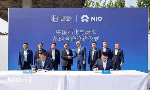 中国石化吃瓜,揭秘“吃瓜”背后的行业风云