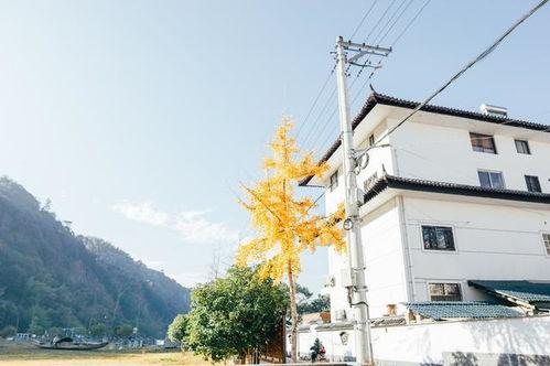开化网红地,探寻浙江山水间的魅力打卡胜地