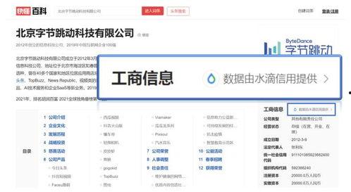 头条用哪个网络比较快,高速网络助你快速获取最新动态