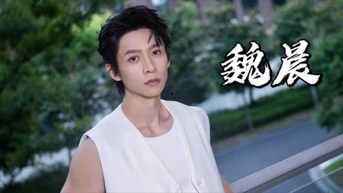 来柳州的明星,揭秘来柳明星的精彩瞬间