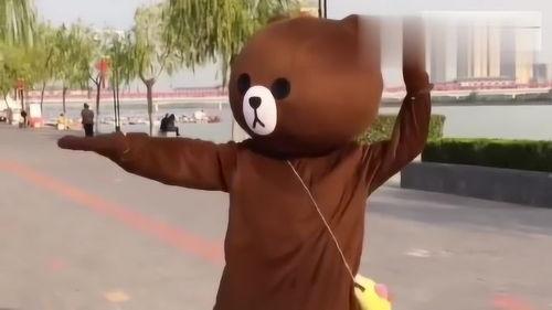 网红熊魔性,网红熊的爆红之路