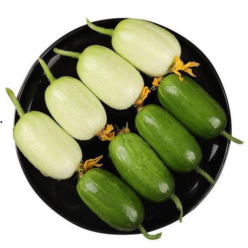 圆瓜怎么吃最好消化,圆瓜最佳消化食用指南