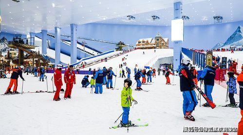 网红遇卖假鹅蛋的人,揭秘网络购物陷阱