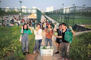 浙江杭州高校老师瓜,杭州高校老师瓜引发校园热议