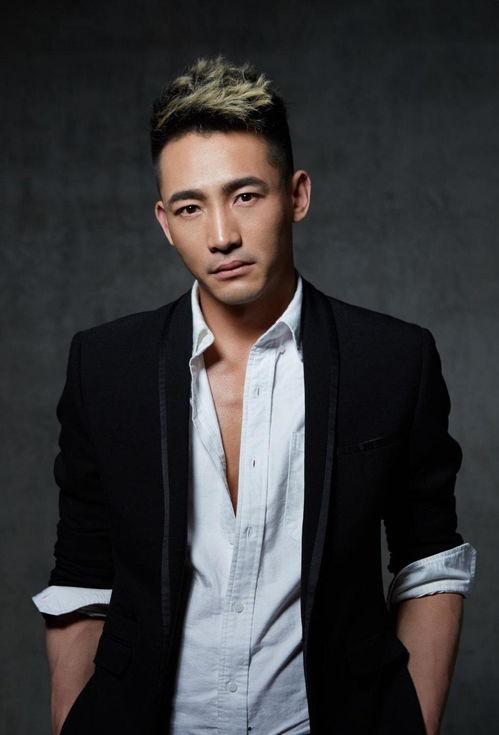 著名内地男明星,揭秘内地男明星的辉煌之路
