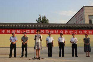 遂平周楼新闻头条,揭秘周楼村发展新篇章