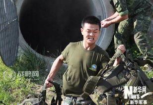 精武战士在线观看