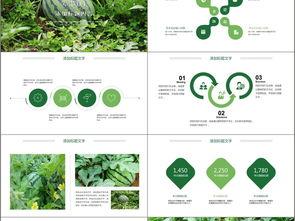吃瓜ppt模板免费网站,轻松打造精彩演示