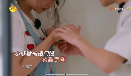 明星租房被套路视频,揭秘租房陷阱背后的惊人真相