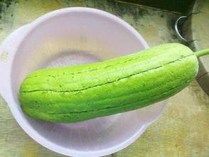 水瓜过敏可以吃,探索安全美味替代食材