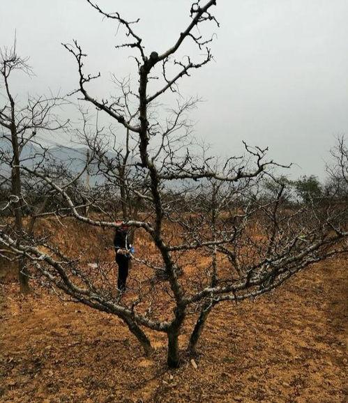 头条专家谈房子价值如何,房子价值如何衡量与提升”
