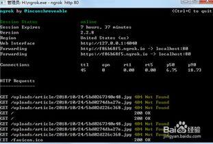 今日外网爆料视频最新,外网最新爆料视频曝光惊人内幕