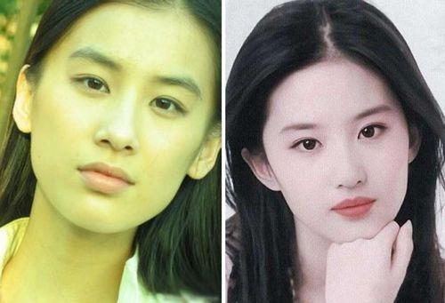 明星 存 普洱,探寻普洱茶中的明星故事