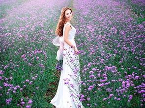 桂林花海今日头条新闻,打造春季赏花新热点