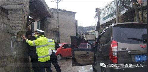 贵州安顺网红拉货司机,网红拉货司机走红，揭秘货运生活背后的故事