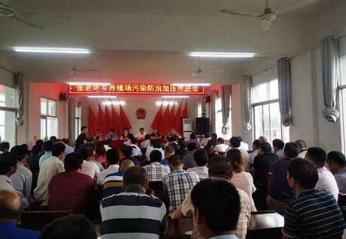 河南固始张老埠新闻头条,突发新闻引发关注，详情揭晓